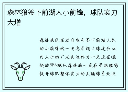 森林狼签下前湖人小前锋，球队实力大增